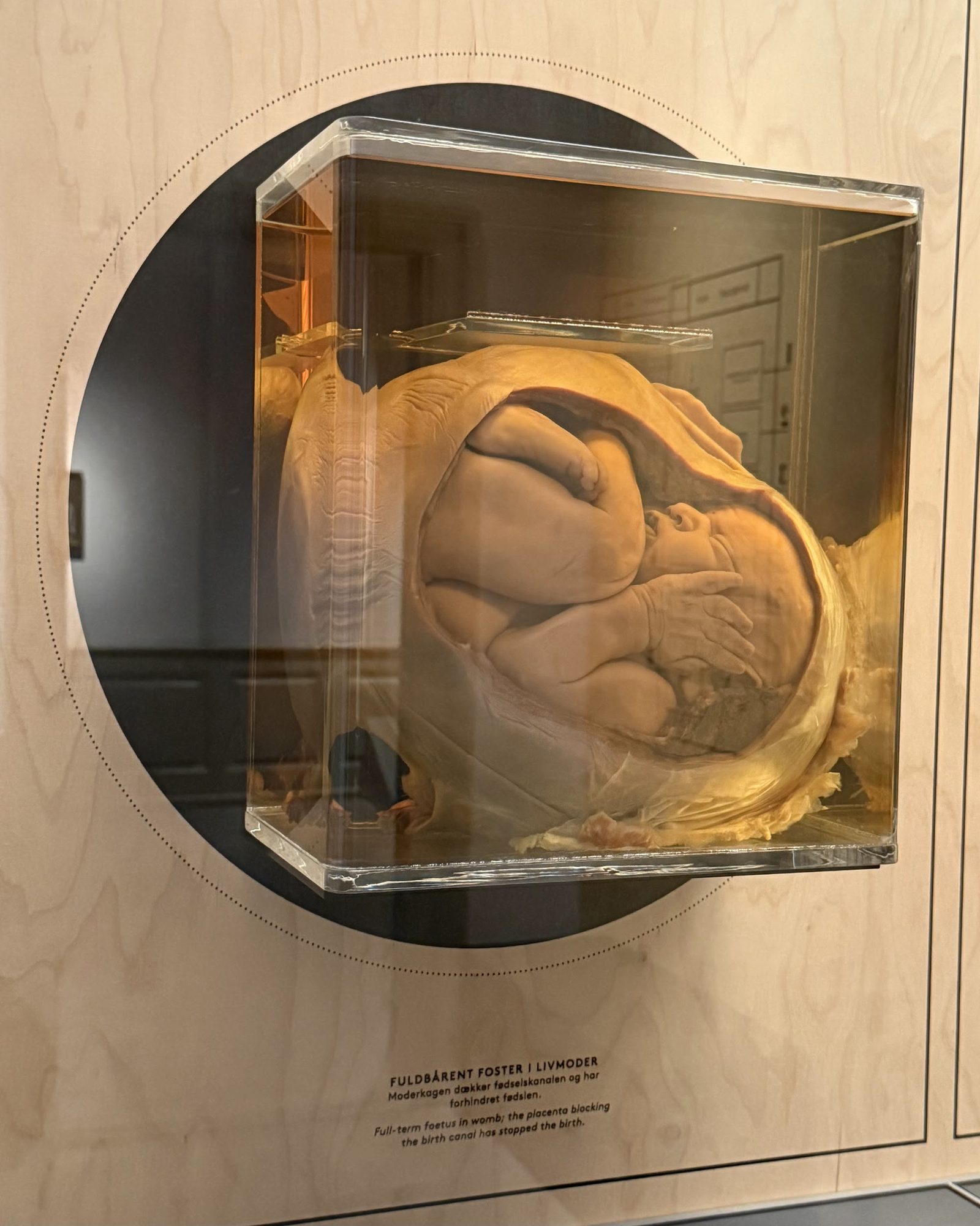 Medicinsk Museion