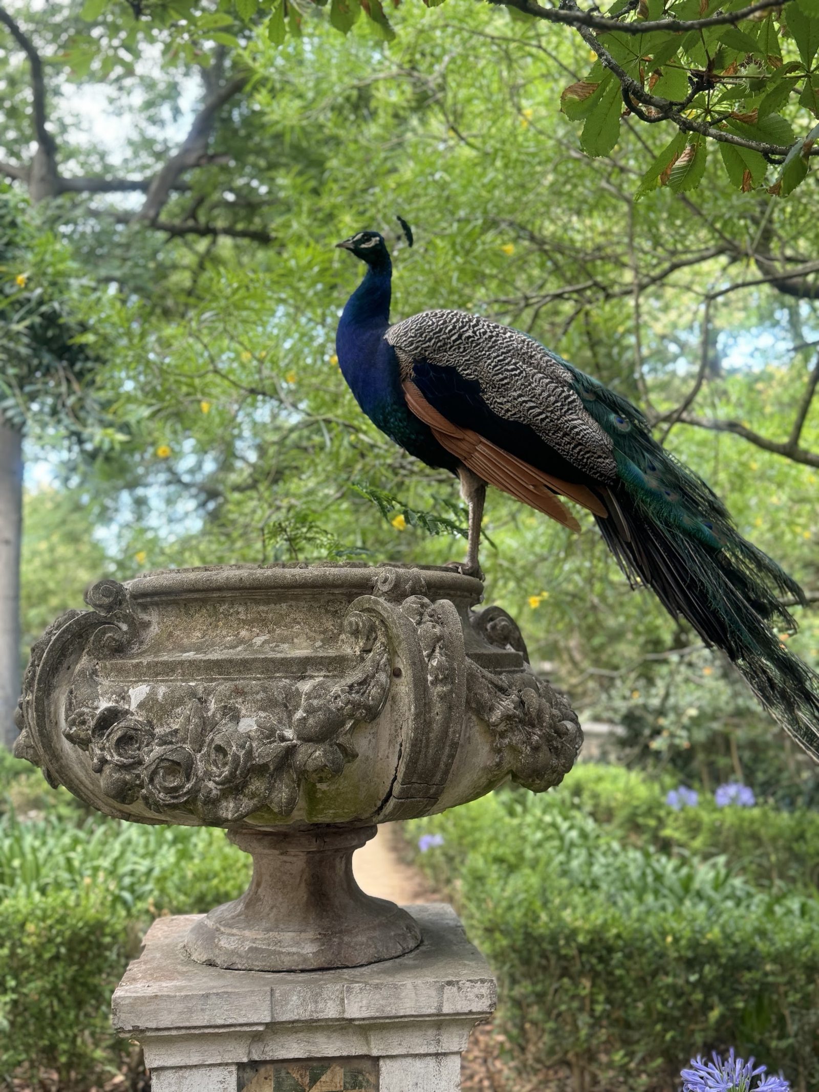 Tropical Botanical Garden