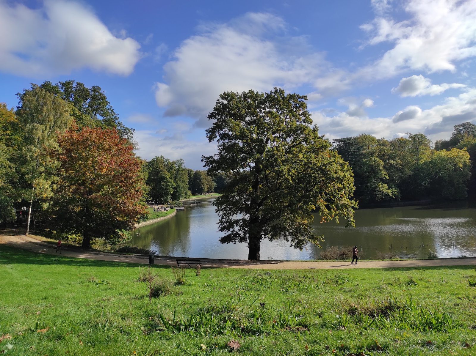 Cambre Woods