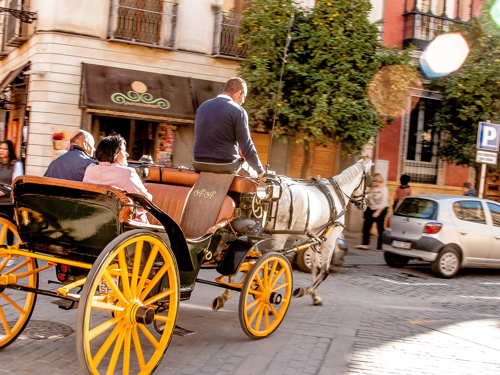 Authentic and Romantic Horse-Drawn Carriage Ride
