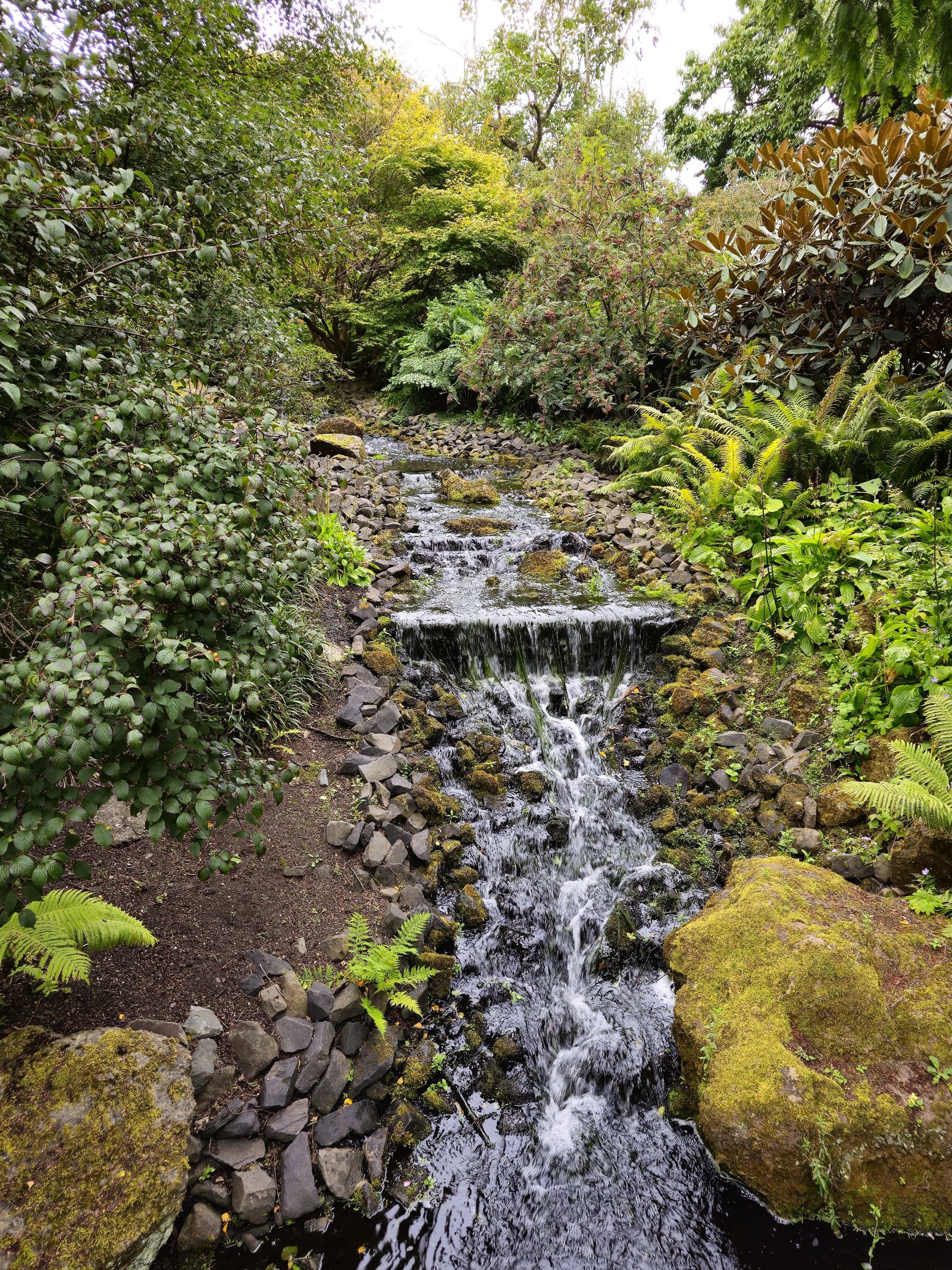 Royal Botanic Garden Edinburgh
