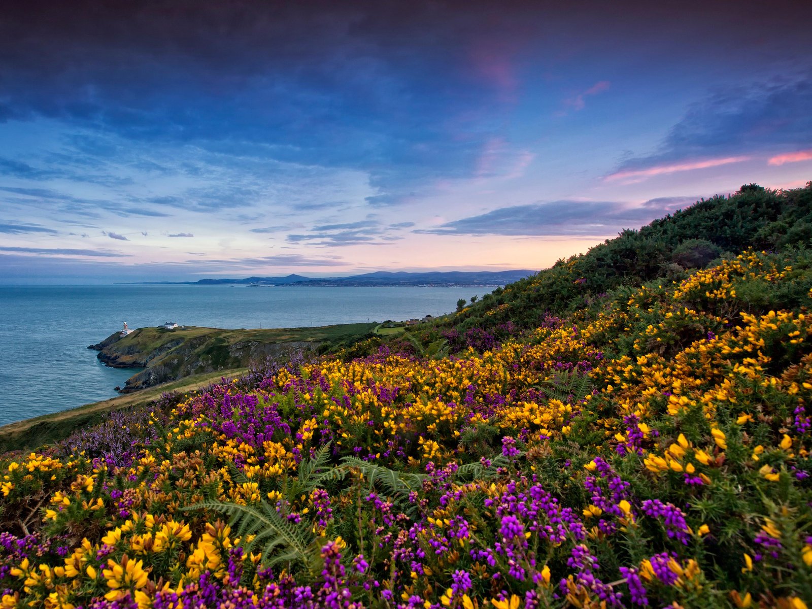 Half-Day Guided Coastal Tour to Howth Village