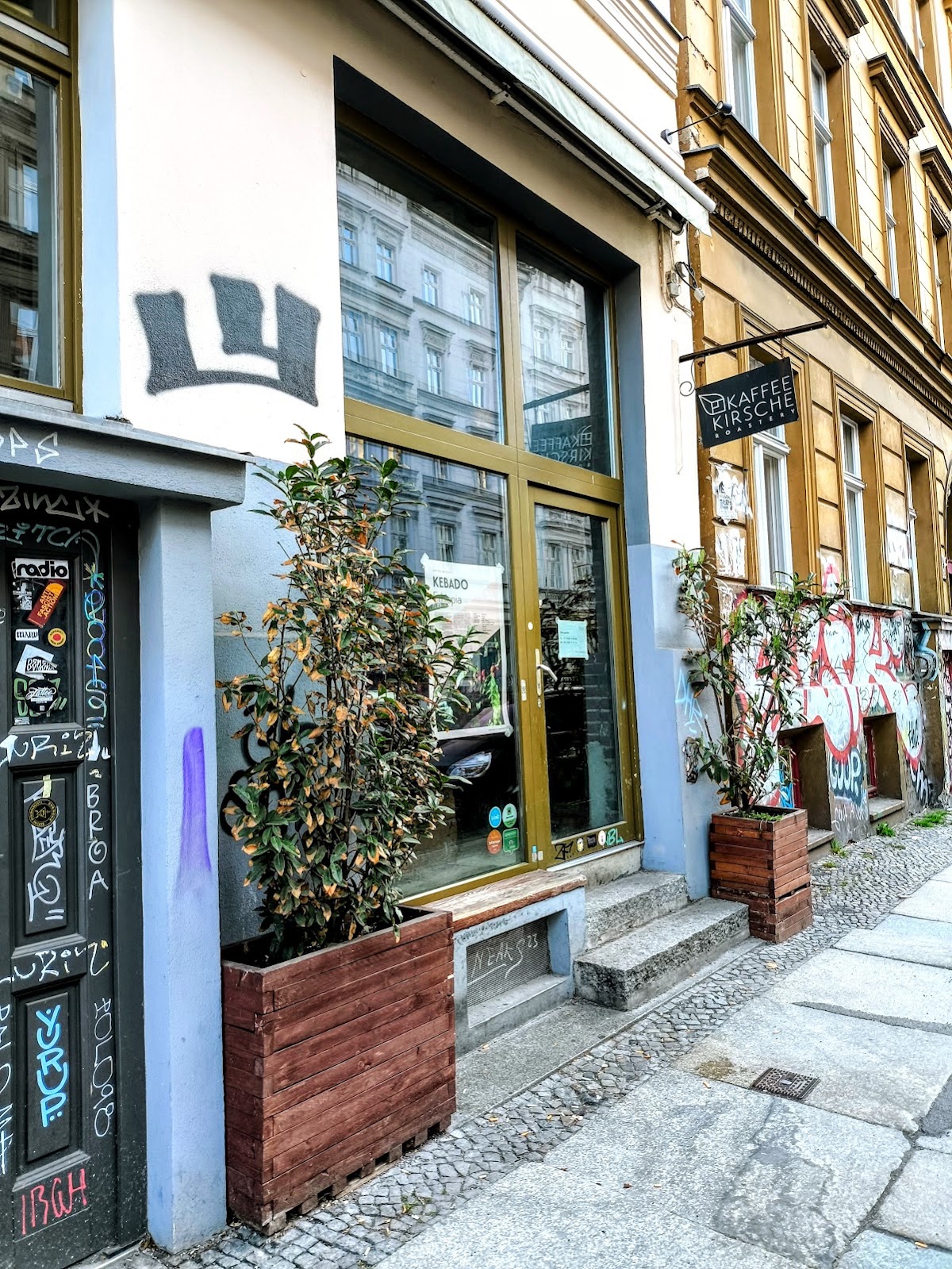 Kaffeekirsche