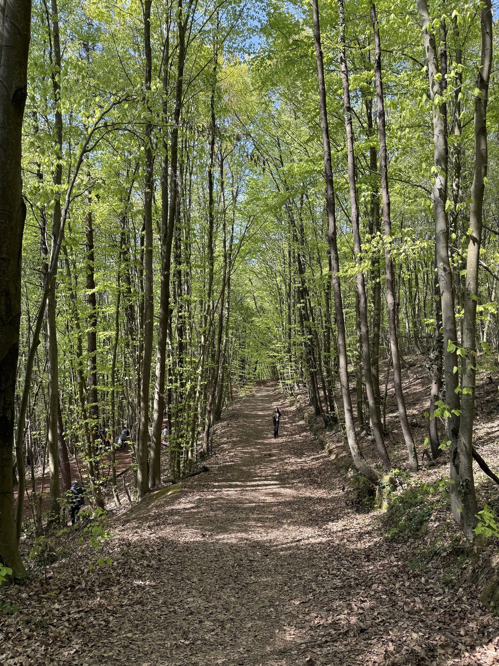 Polonezköy Nature Park
