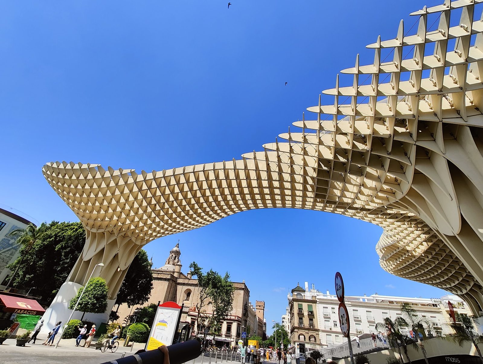 Setas de Sevilla