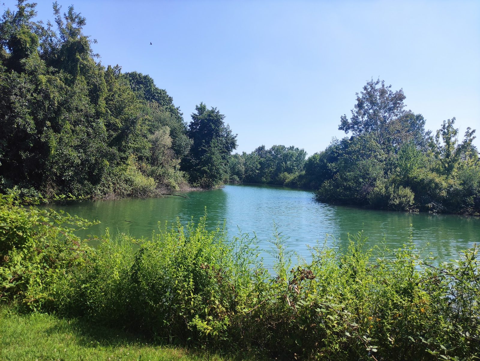 Boscoincittà