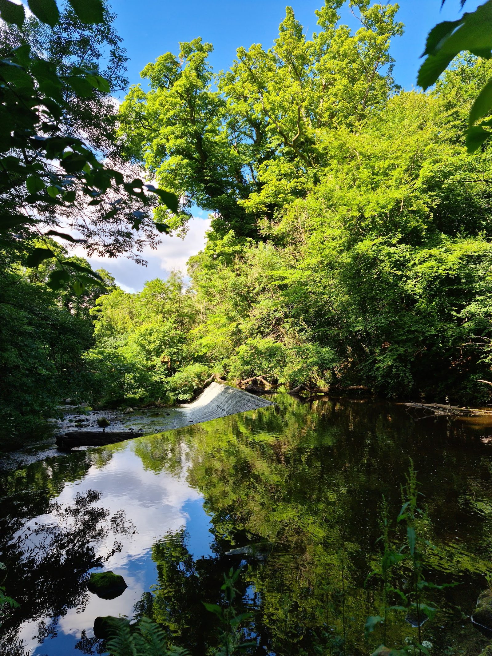Spylaw Park