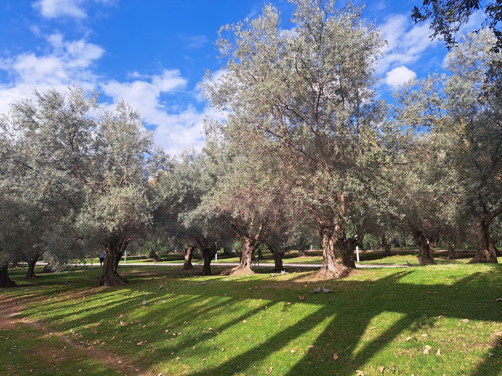 Manzanares River Linear Park