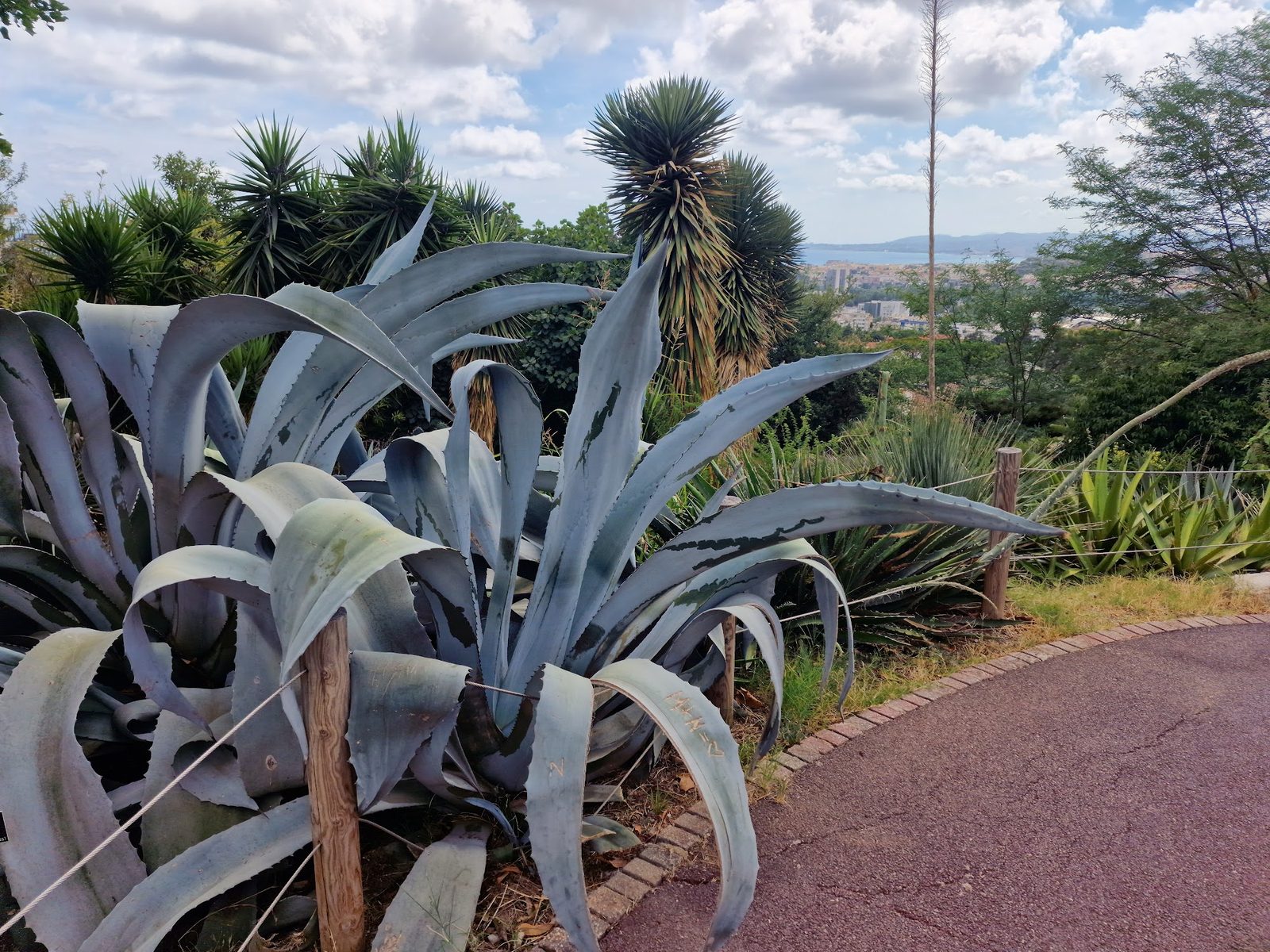 Jardin botanique de Nice