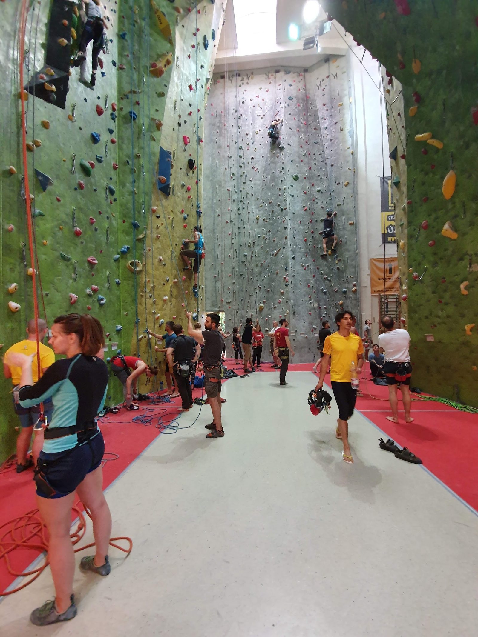 Bigwall