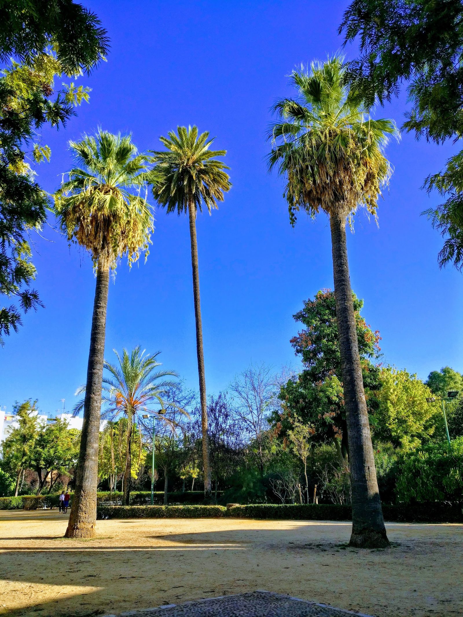 Valle Garden