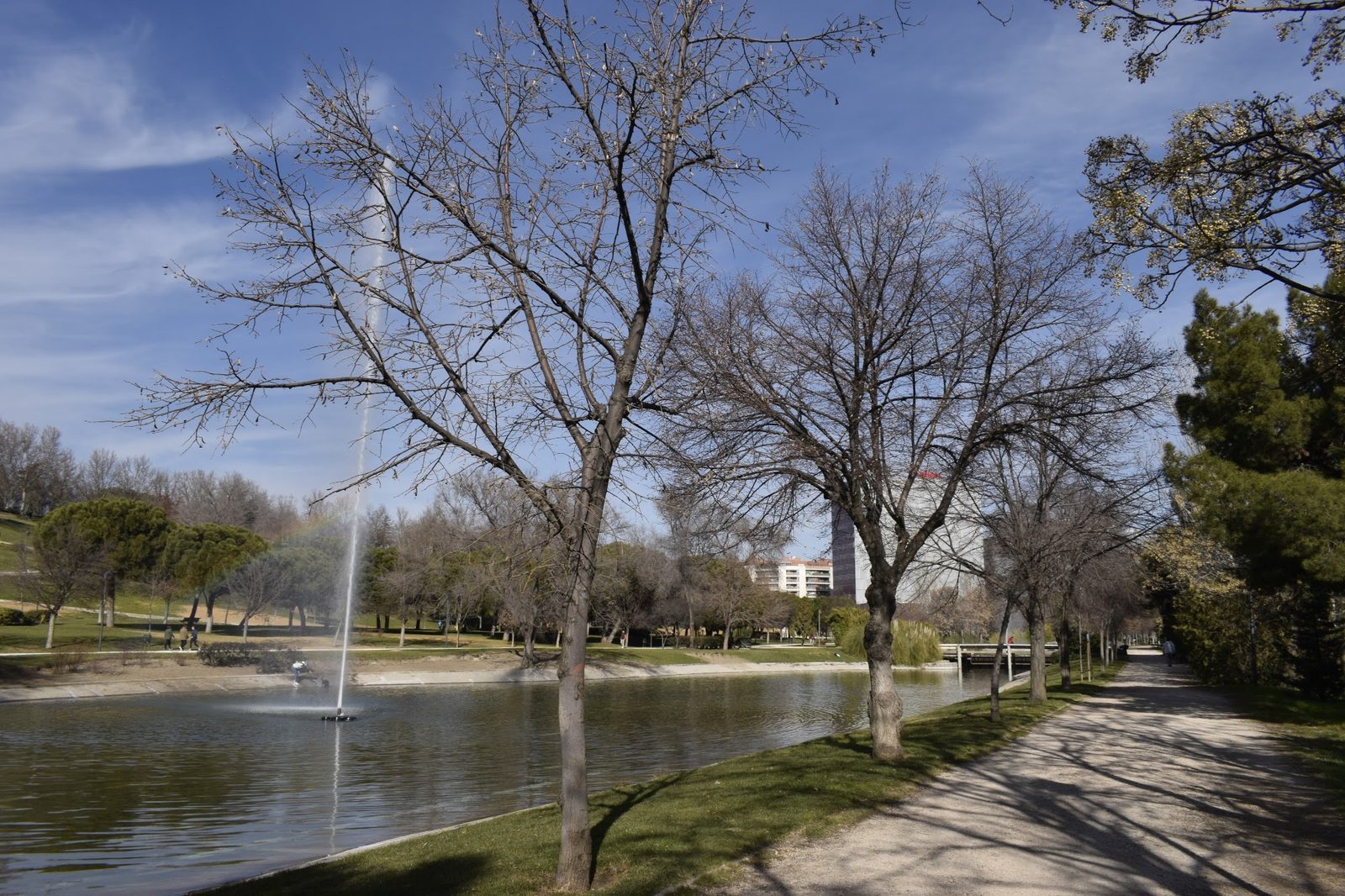Parque Enrique Tierno Galván