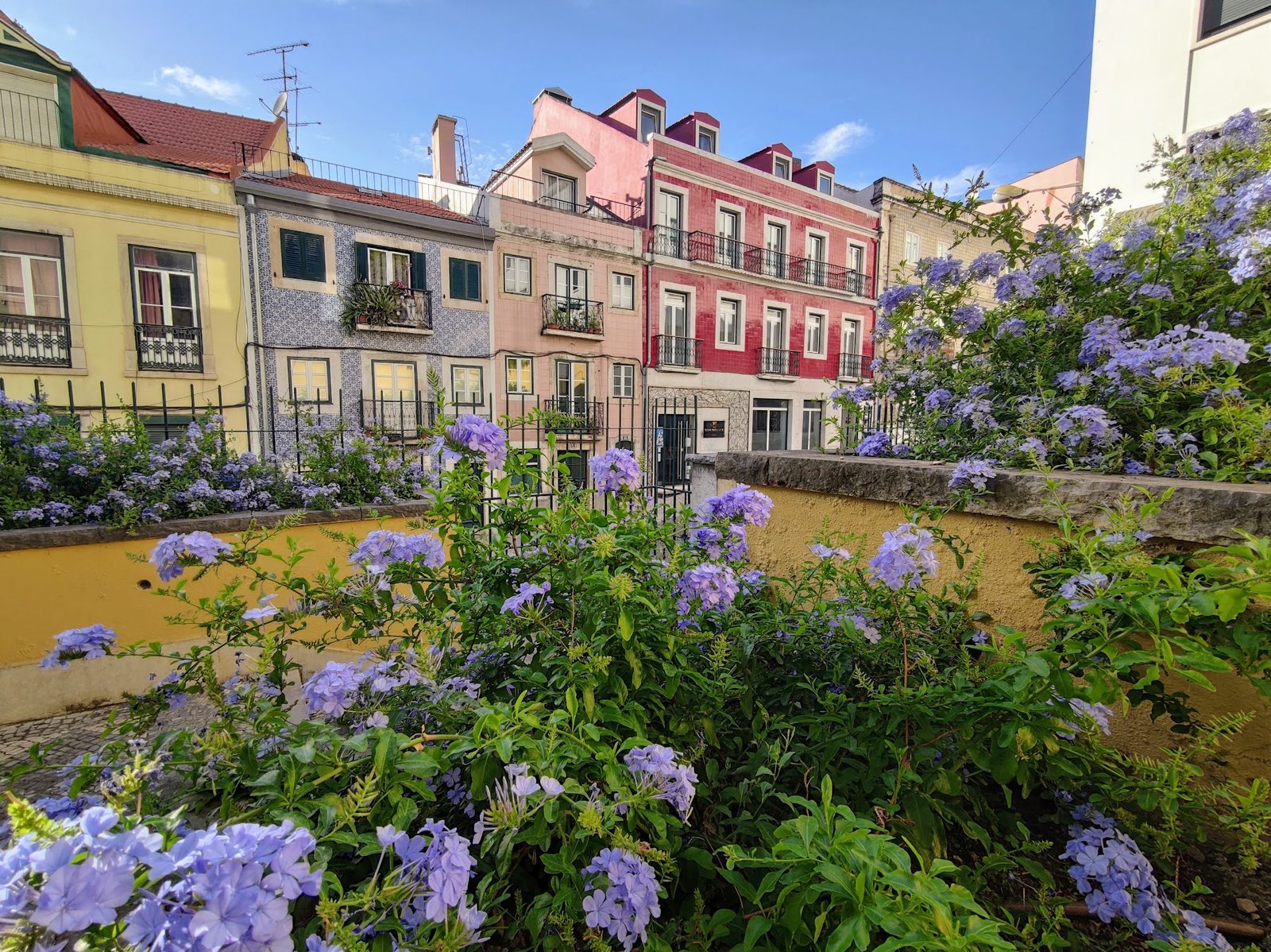Jardim do Torel