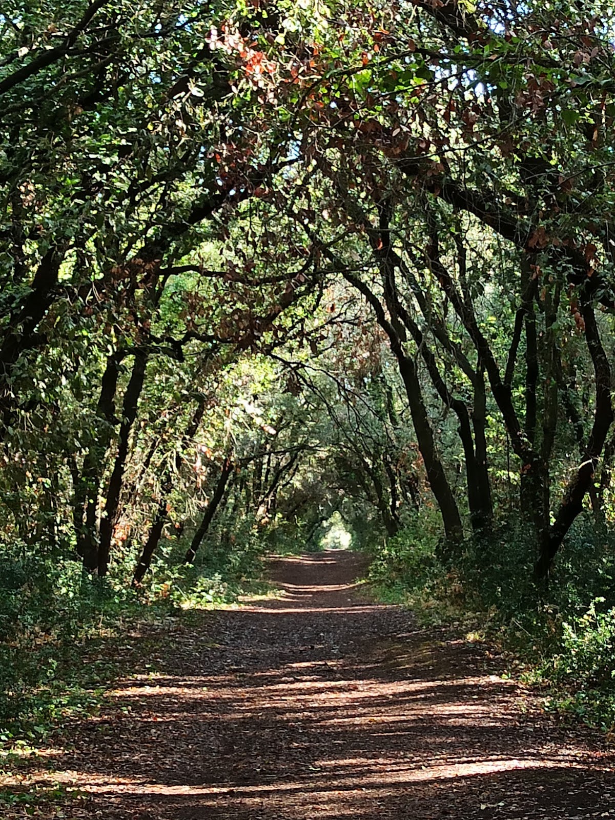 Roman Coast State Nature Reserve