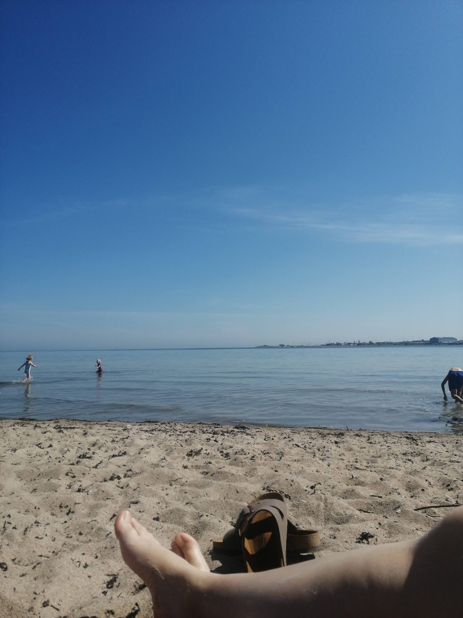 Svanemølle Beach