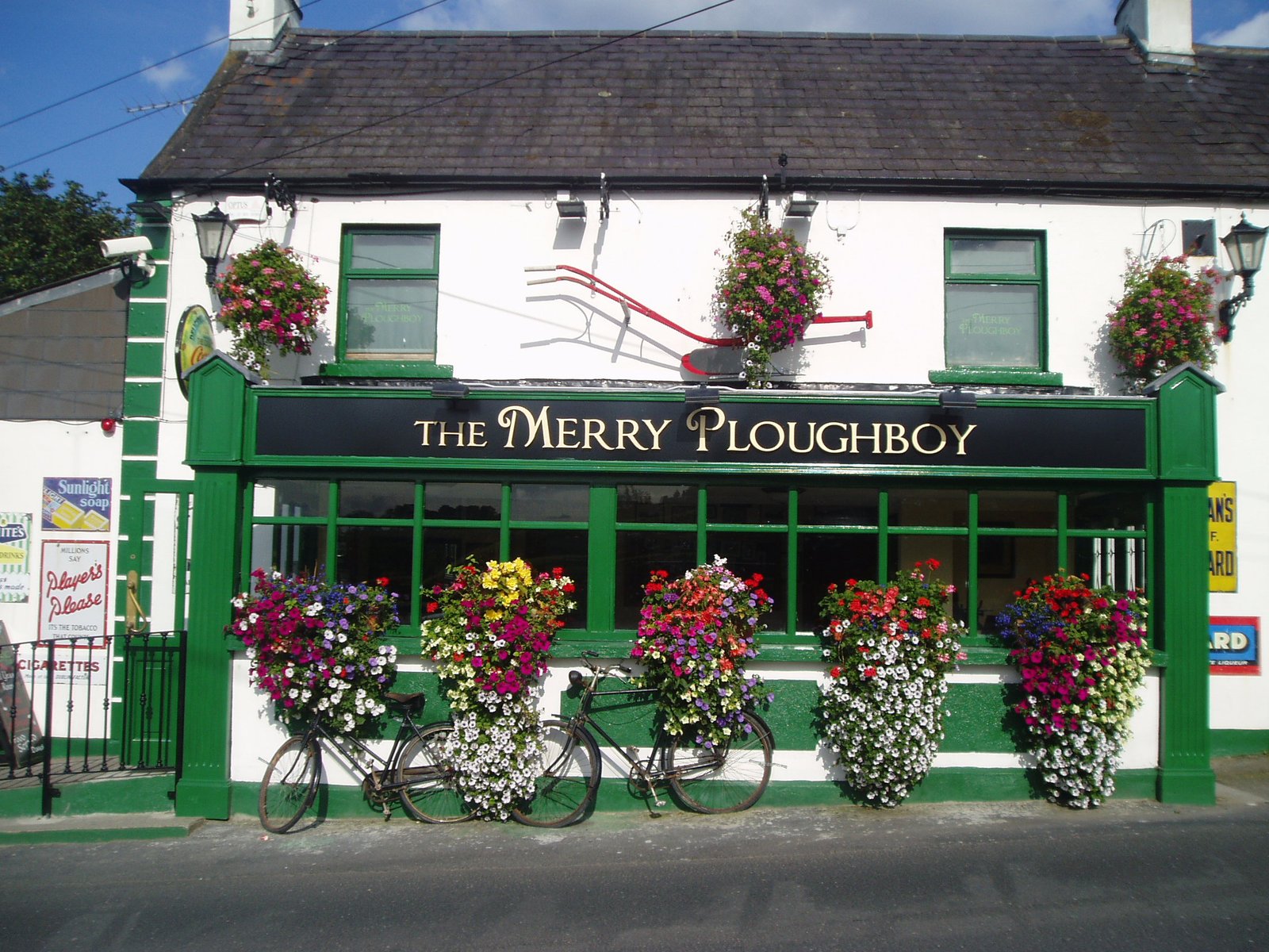 Irish Night Show at the Merry Ploughboy Pub