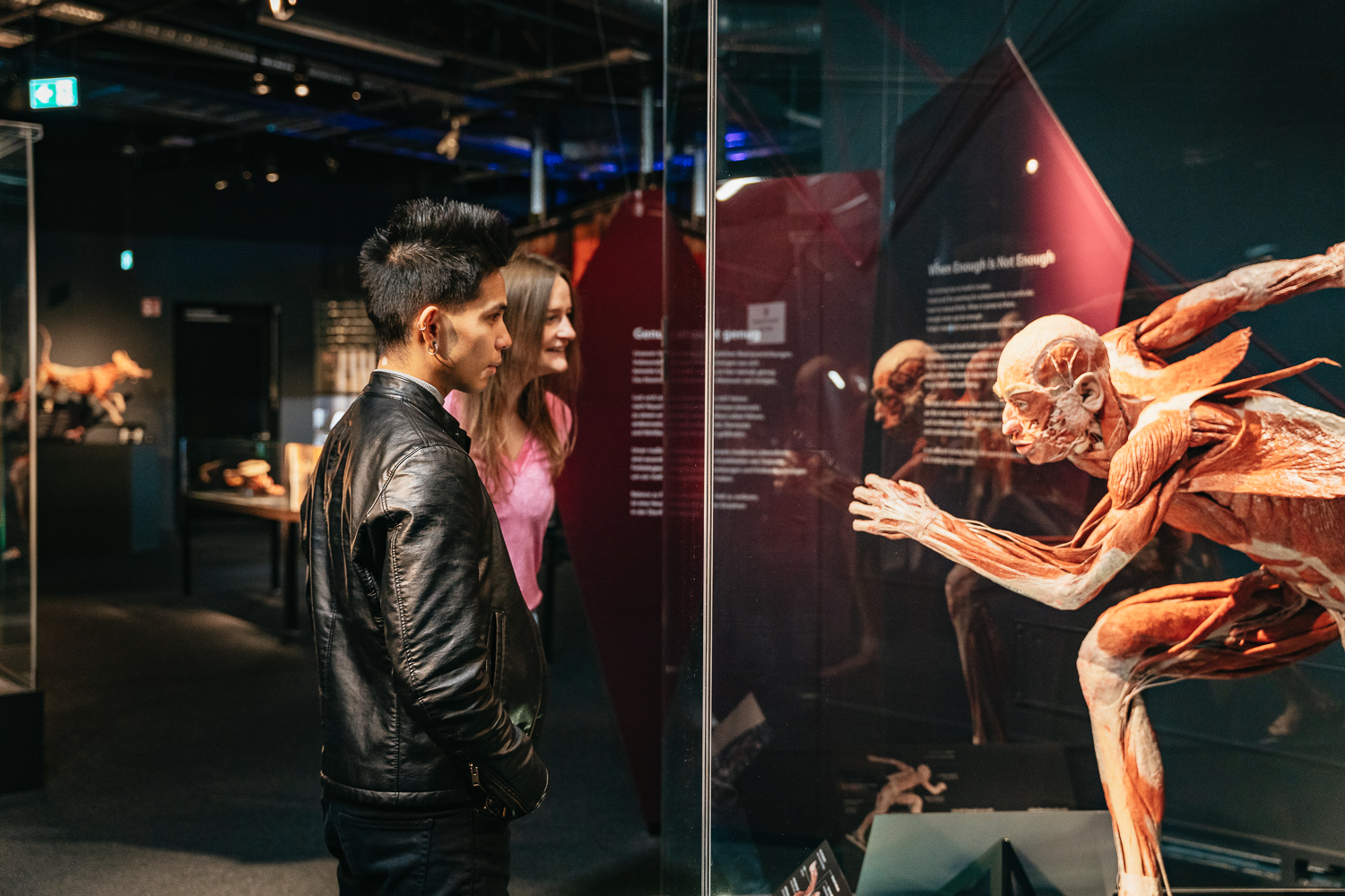 Tickets for the BODY WORLDS Museum in Berlin