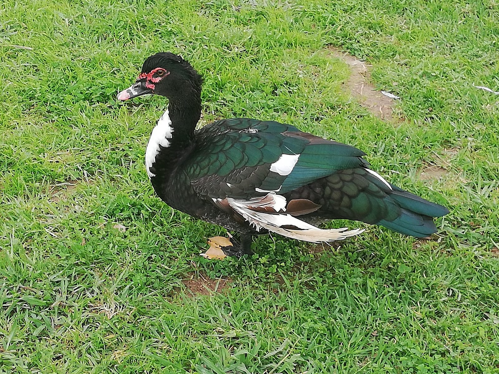 Príncipes Park