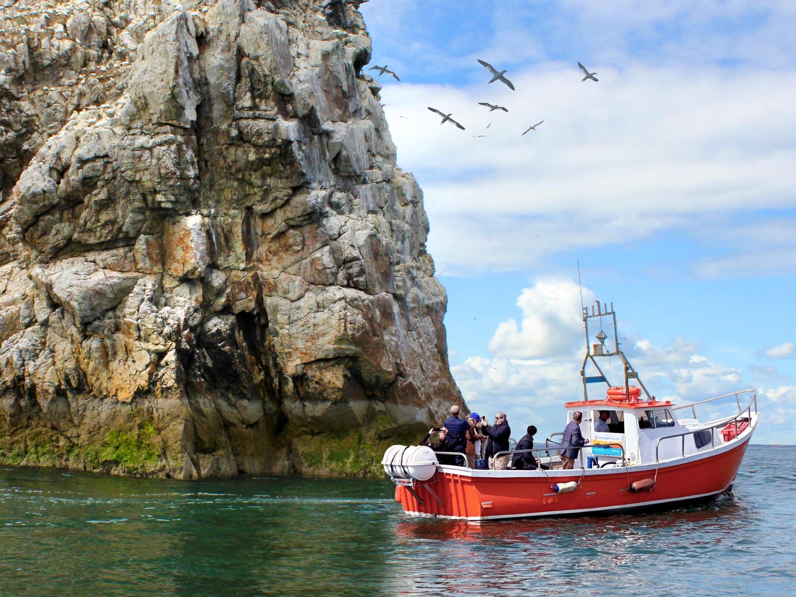 Howth Coastal Boat Tour