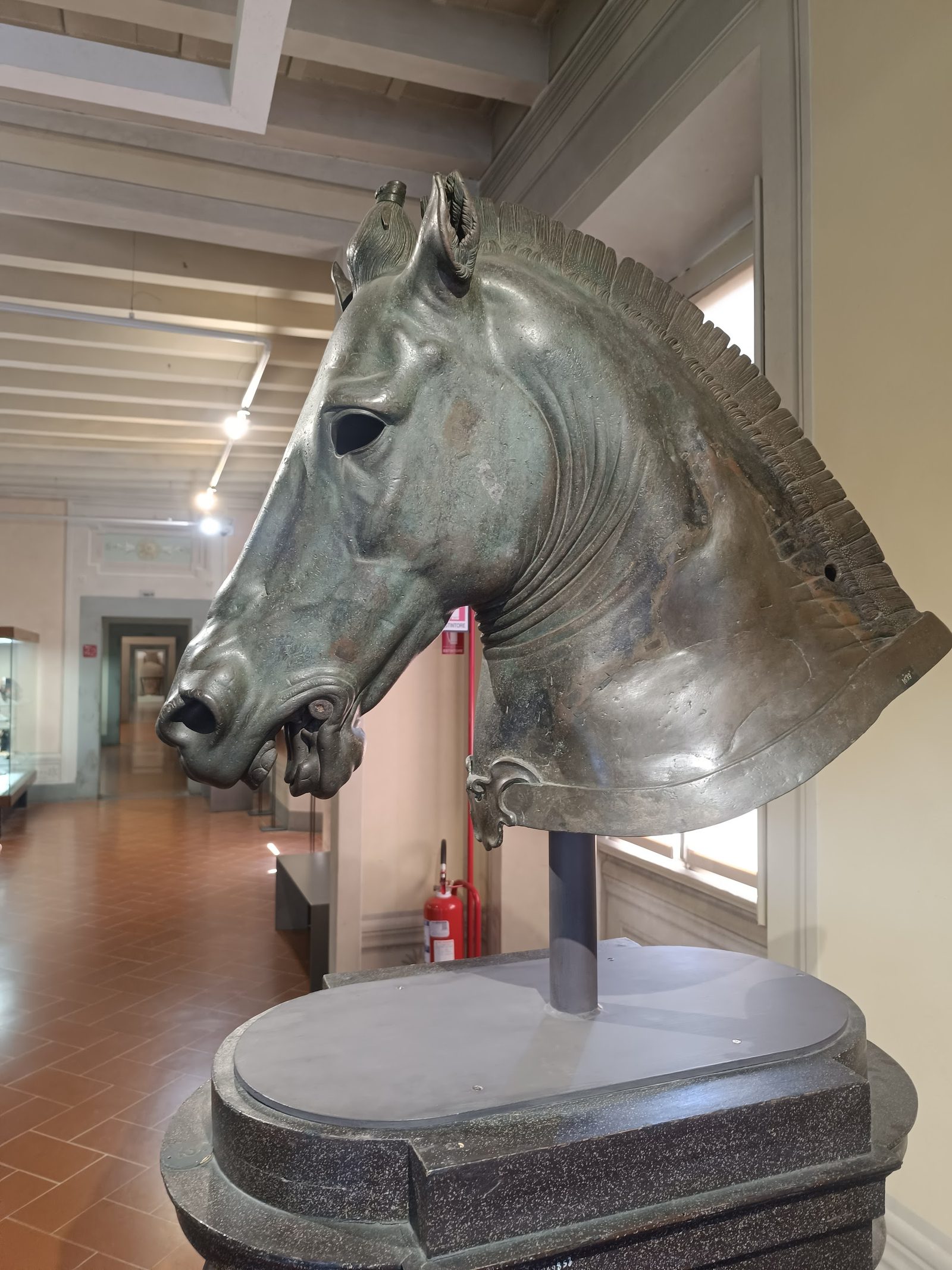 Museo Archeologico Nazionale di Firenze
