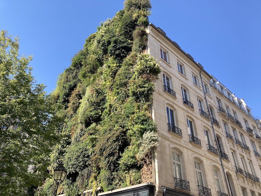 L'Oasis d'Aboukir