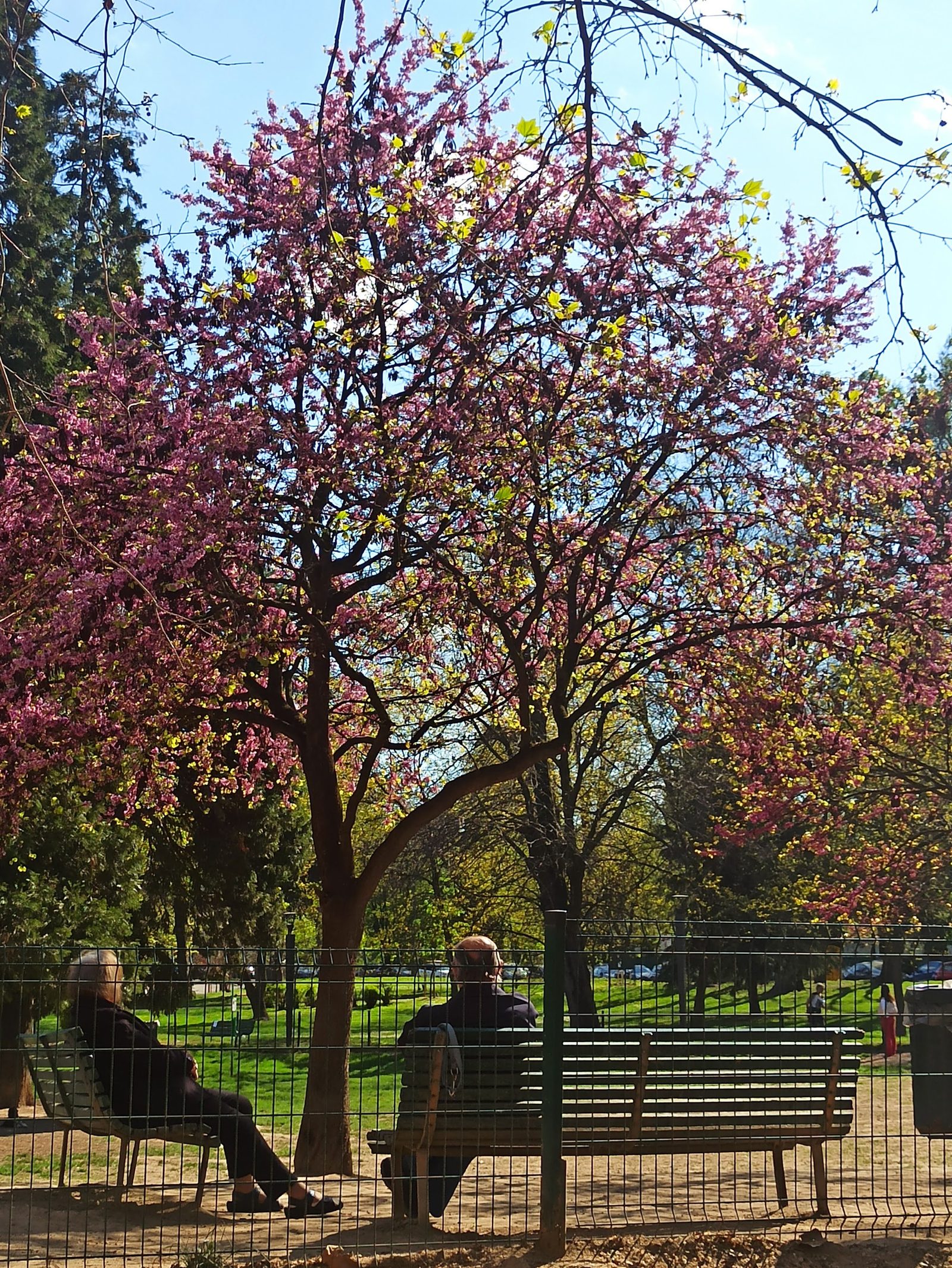 Parco Alessandrina Ravizza
