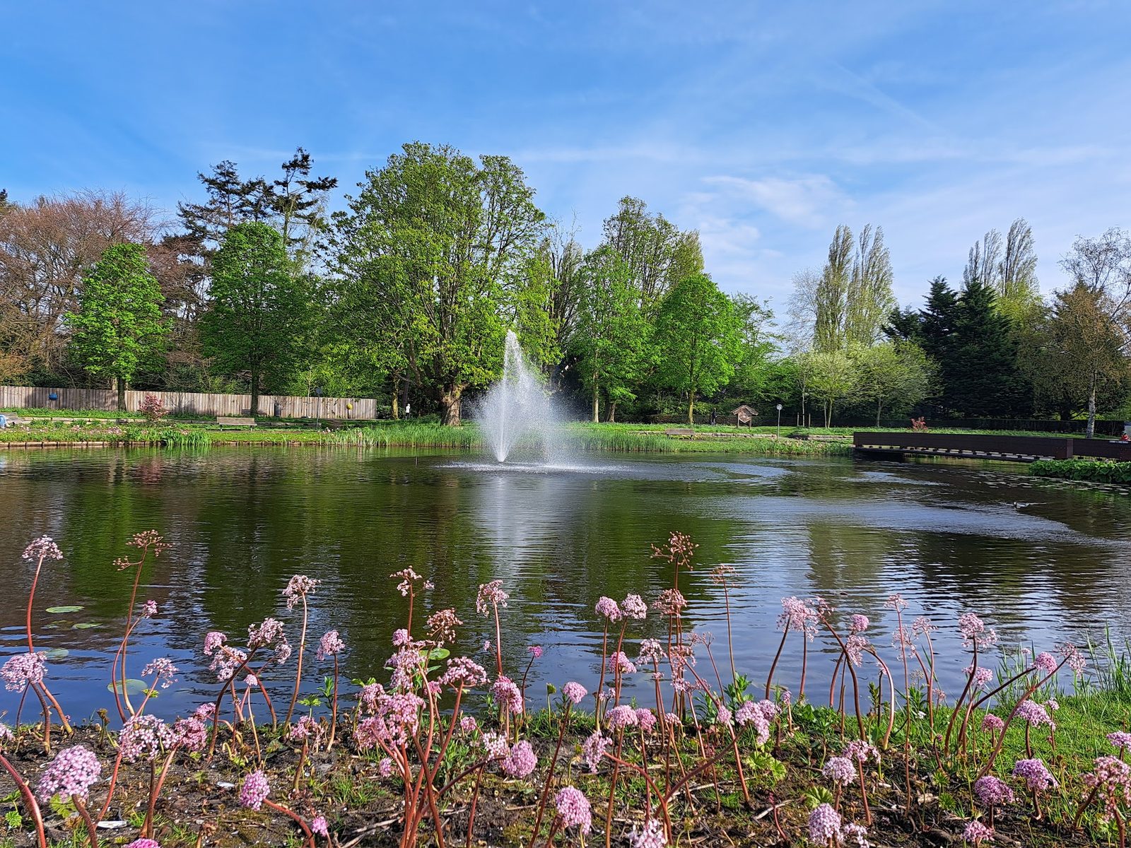 Beatrixpark