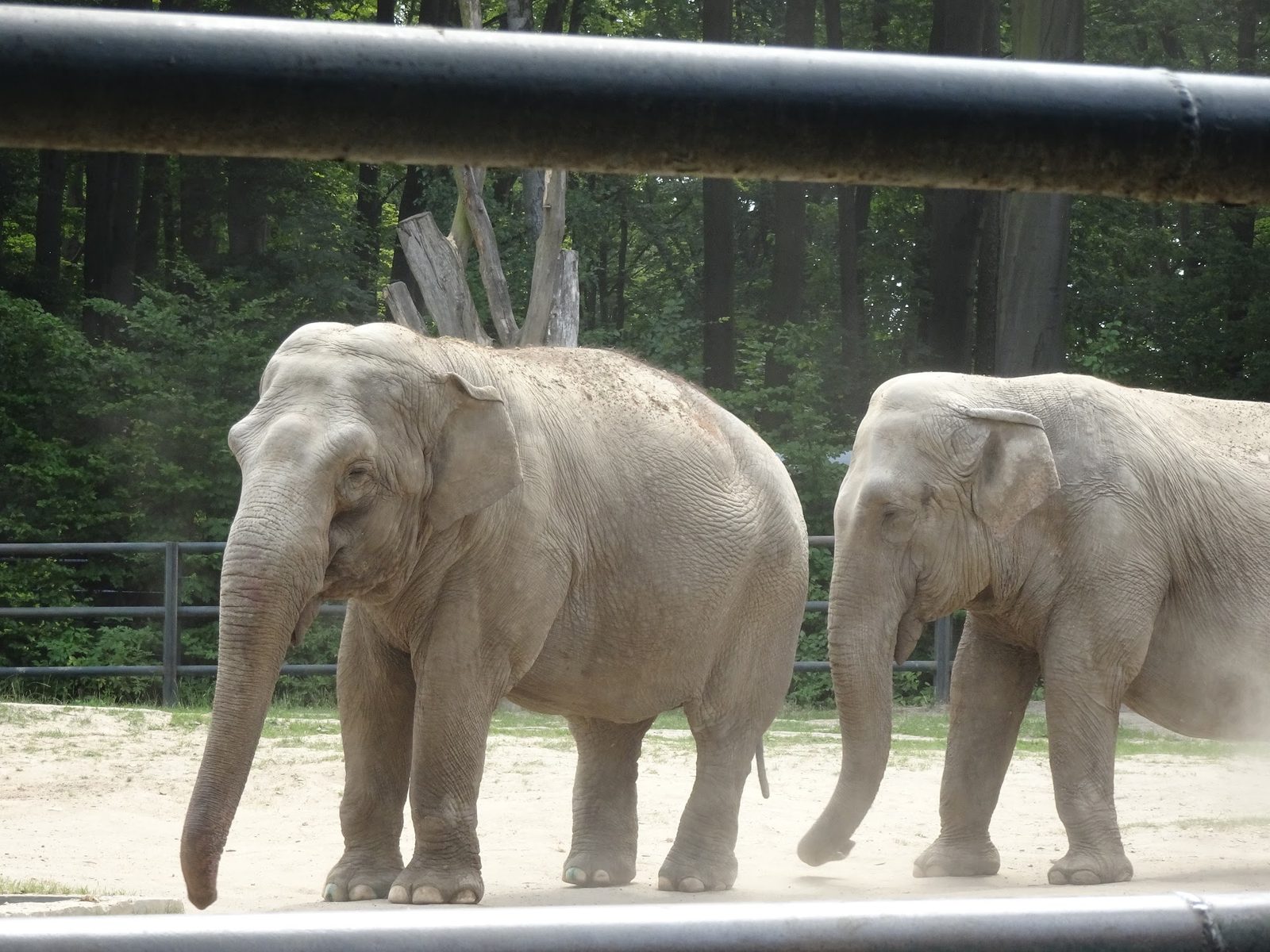 Kraków Zoo