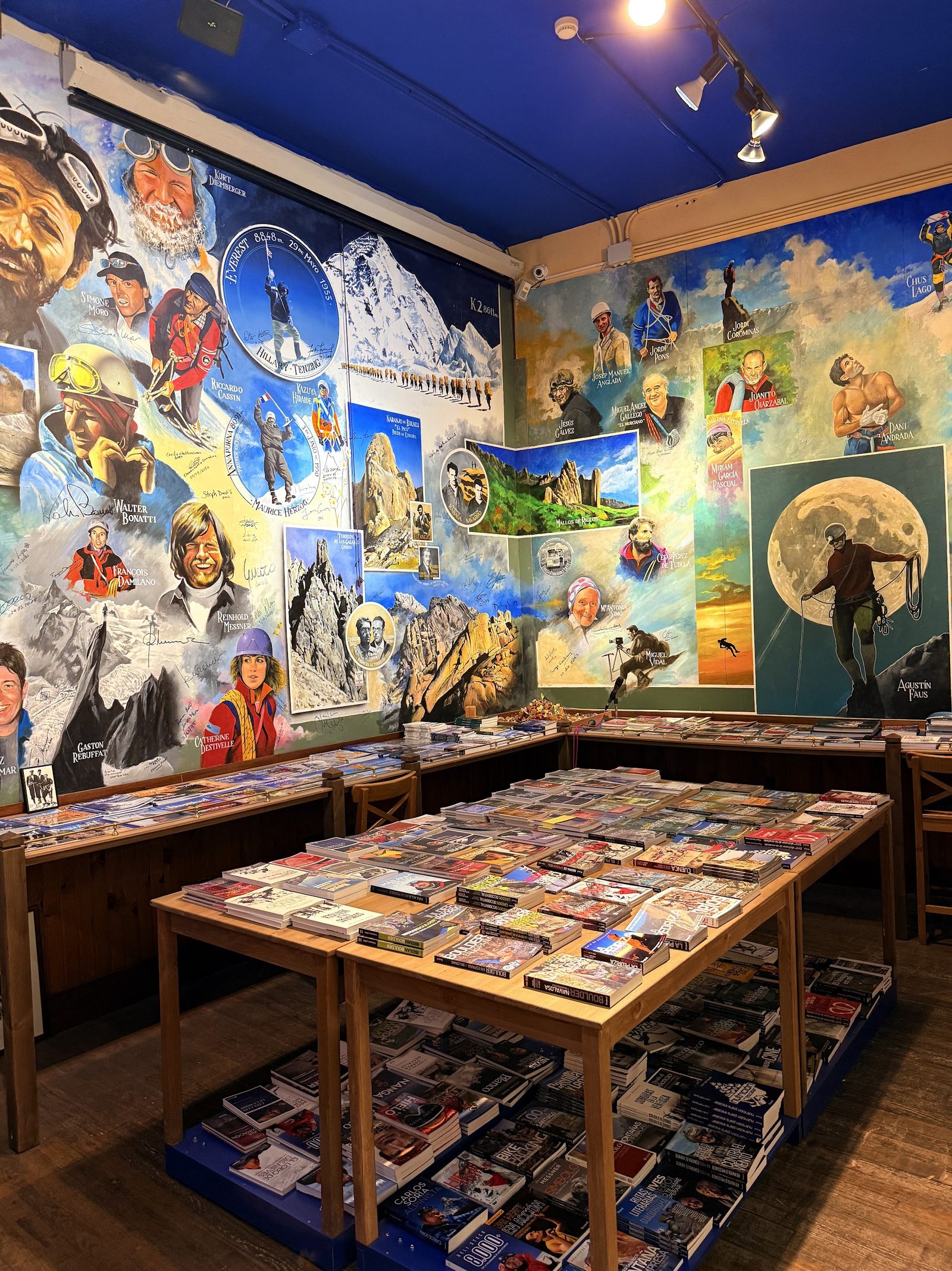 Librería Desnivel