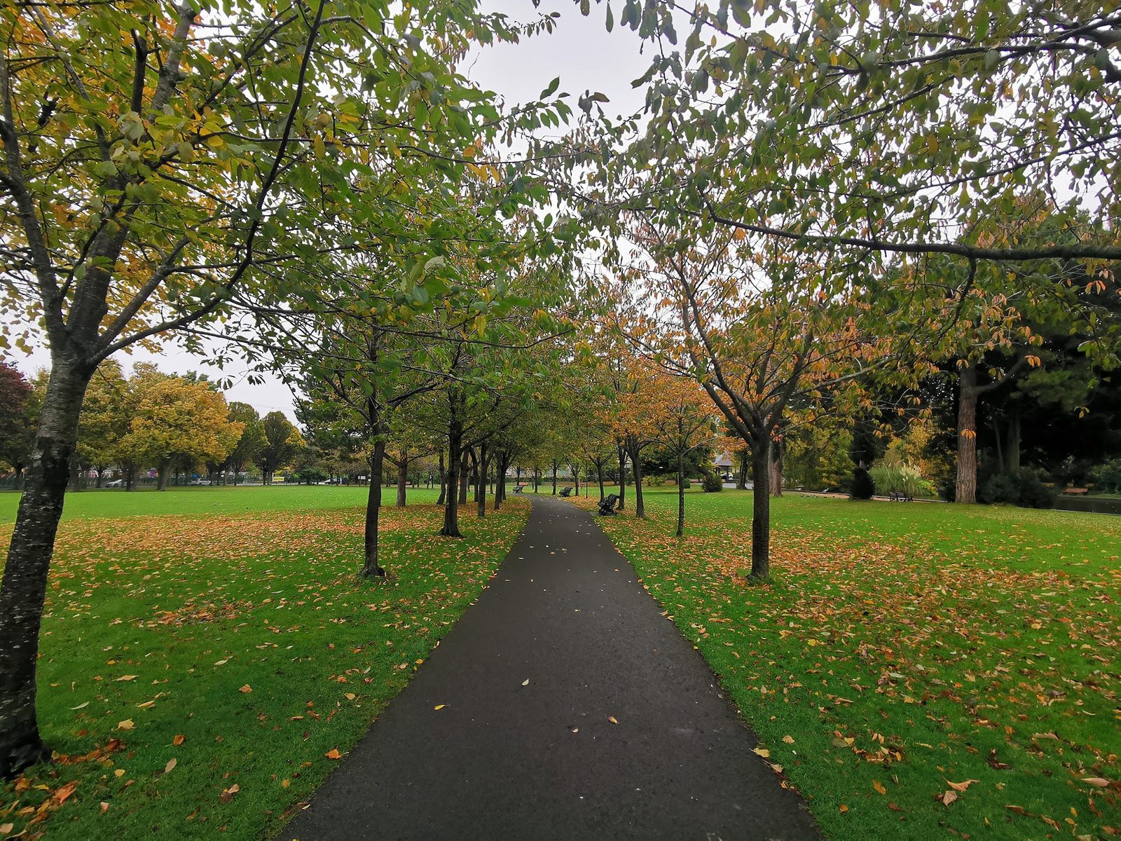 Herbert Park