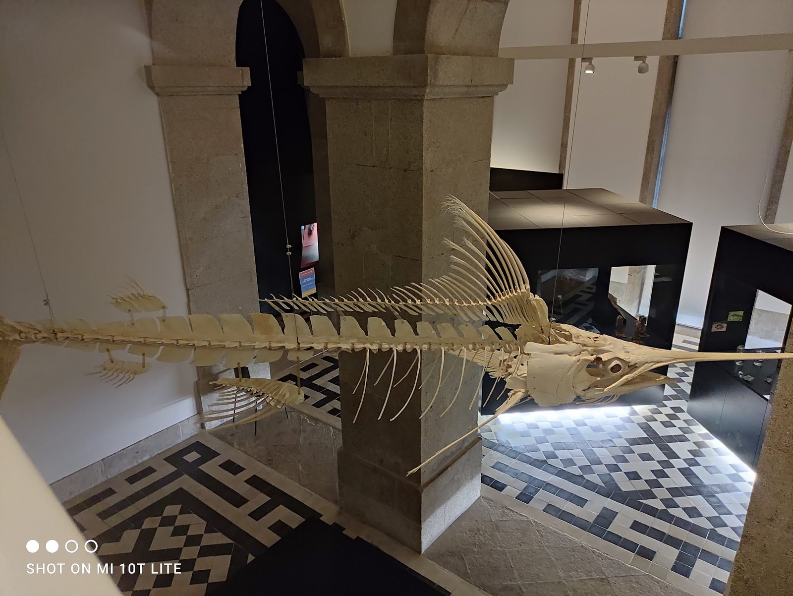 Museu de História Natural e da Ciência da Universidade do Porto