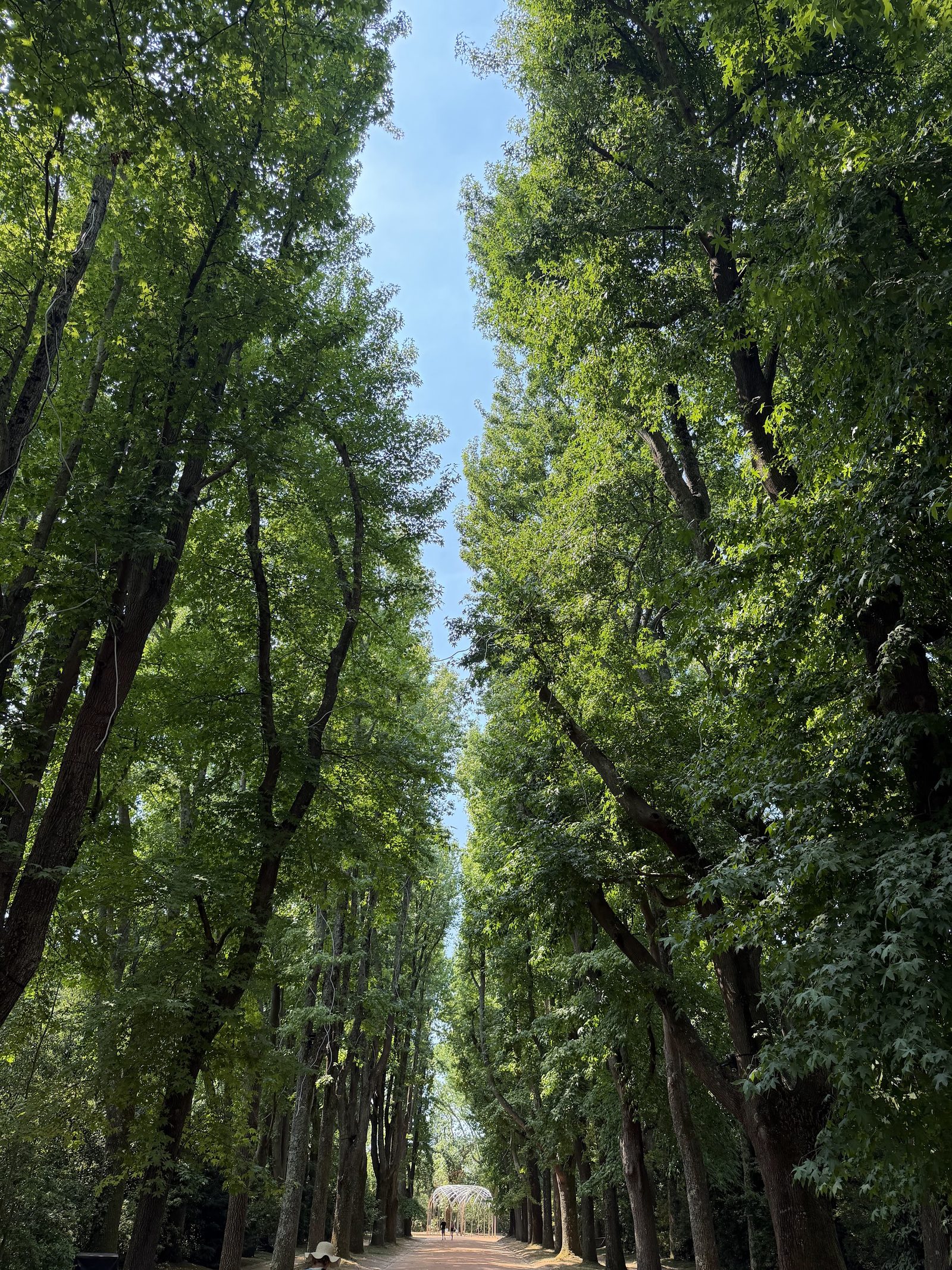 Serralves Museum of Contemporary Art
