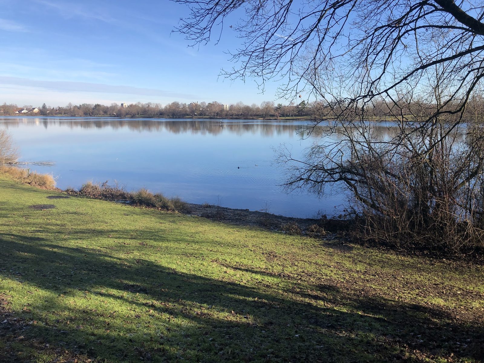 Fasaneriesee